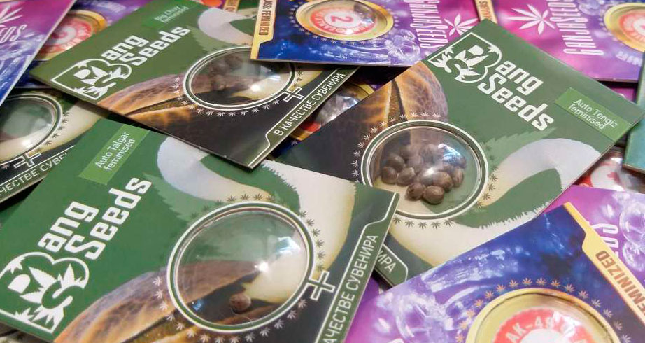 Семена конопли сидбанка Bang Seeds Семена конопли сидбанка Bang Seeds