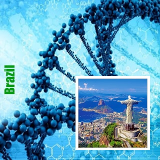 Brasil Brasil