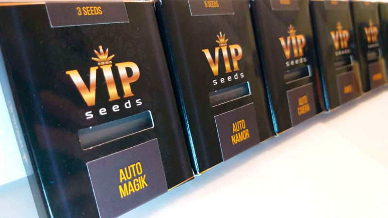 GanjaVIP – торговая марка для избирательных и требовательных гроверов GanjaVIP – торговая марка для избирательных и требовательных гроверов