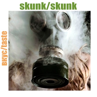 Skunk Skunk