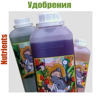 Удобрения для конопли Удобрения для конопли