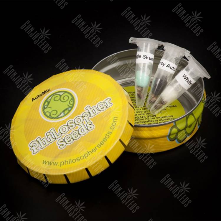 семена сортовой конопли Auto Mix feminised Philosopher Seeds
