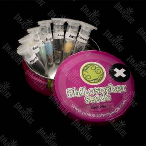Golo Mix + feminised Philosopher Seeds