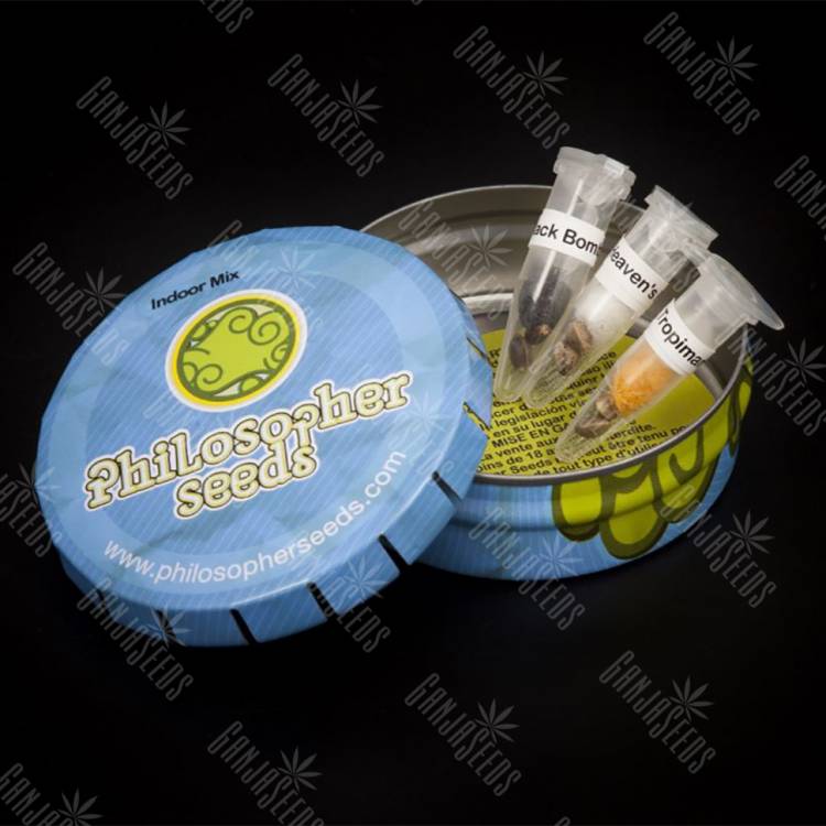 семена конопли Москва Indoor Mix feminised Philosopher Seeds