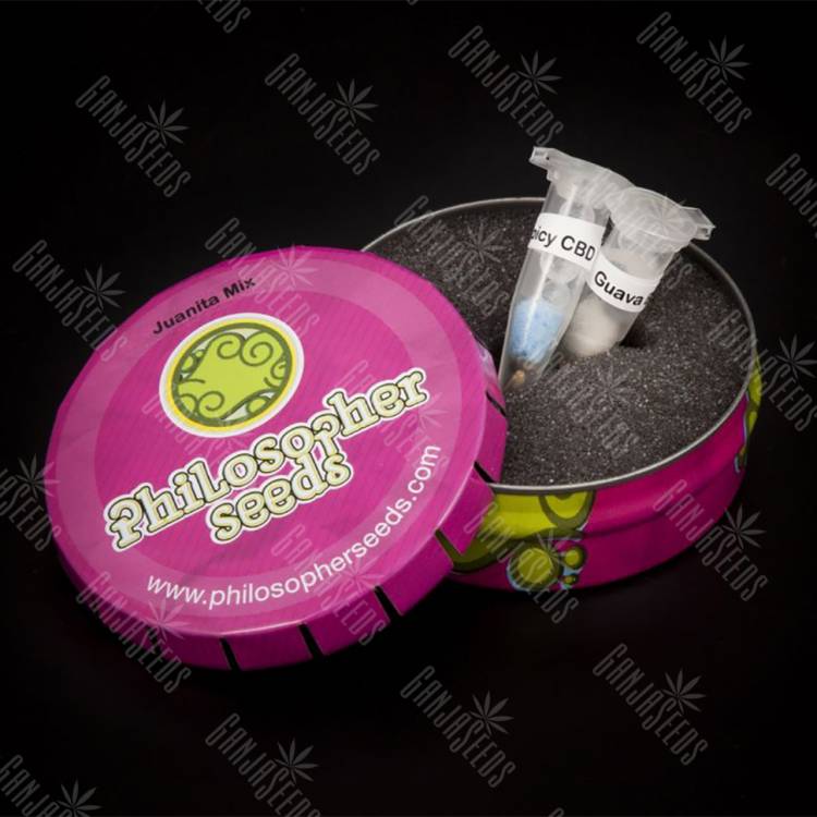 семена культурной конопли купить Juanita Mix feminised Philosopher Seeds семена культурной конопли купить Juanita Mix feminised Philosopher Seeds