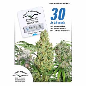 30st Anniversary Mix feminised Dutch Passion Seeds
