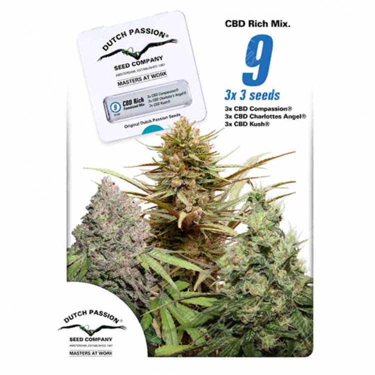 заказ семян конопли Москва CBD Rich Mix feminised Dutch Passion Seeds