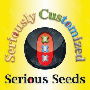 Russian Outdoor Mix feminised Serious Seeds