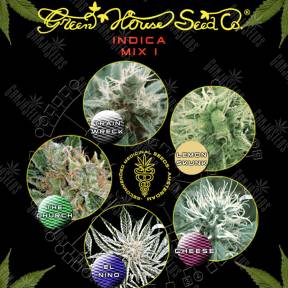 Indica Mix I feminised Green House Seeds