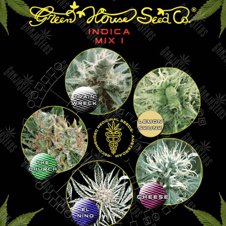 семена конопли в интернете Indica Mix I feminised Green House Seeds