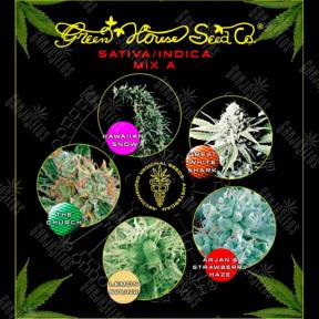 Sativa/Indica Mix A feminised Green House Seeds