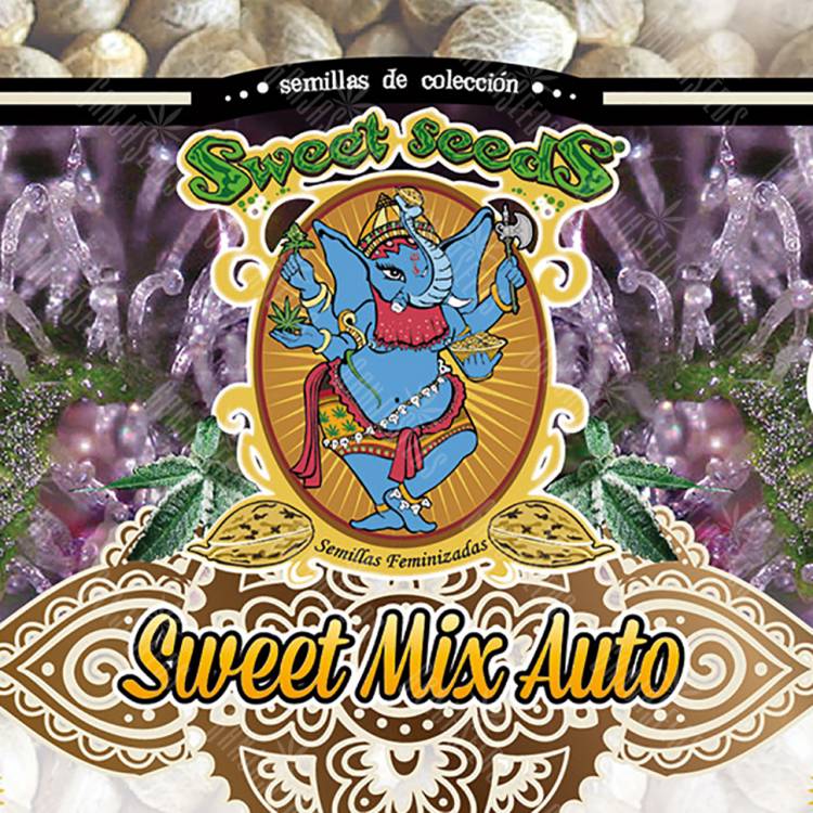 семена конопли для выращивания Auto Sweet Mix feminised Sweet Seeds семена конопли для выращивания Auto Sweet Mix feminised Sweet Seeds